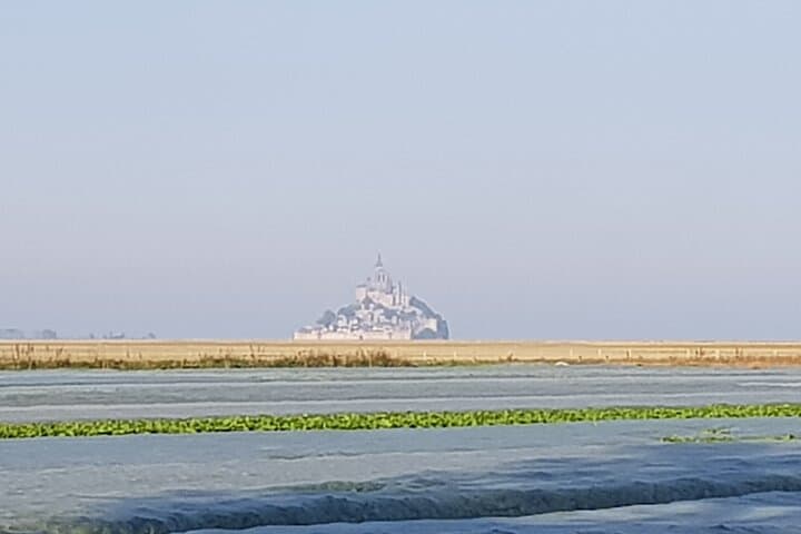 Private Day Trip to Mont Saint-Michel from Saint-Malo with local driver-guide