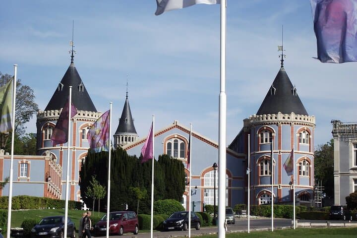 Private 4-hour City Tour of Reims with driver, guide and Hotel pick-up