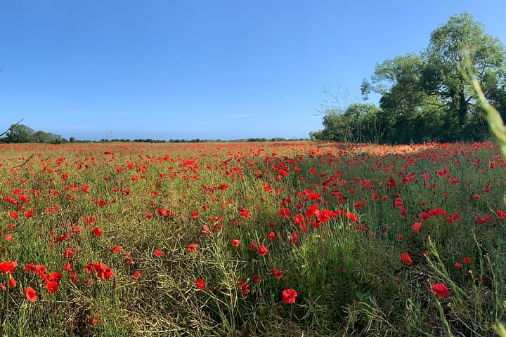 Dday experience Full Day Tour US Sector