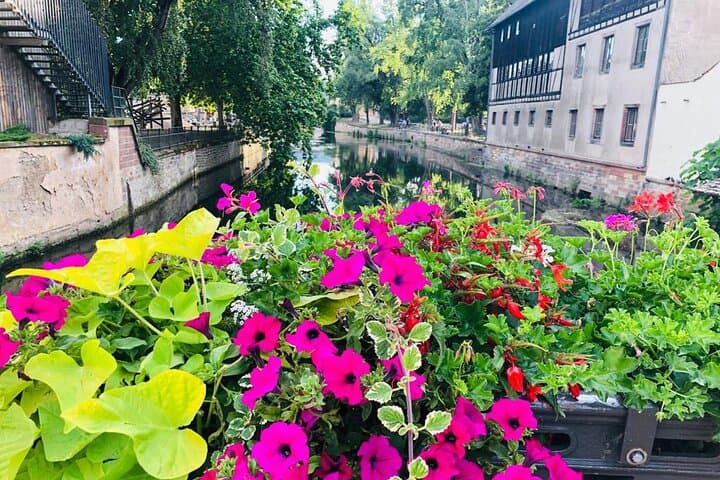 Private unforgettable tour of Strasbourg and Alsace