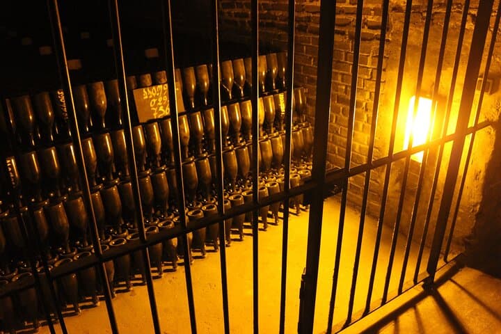 DP Cellar
