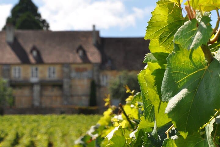 Multi Day Private Tour Prestige Burgundy with 12 Premiers & Grands Crus