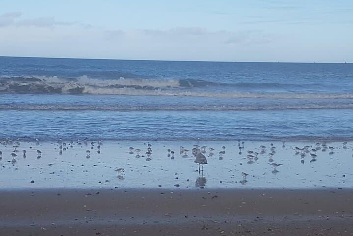 Ouistreham Riva Bella Beach