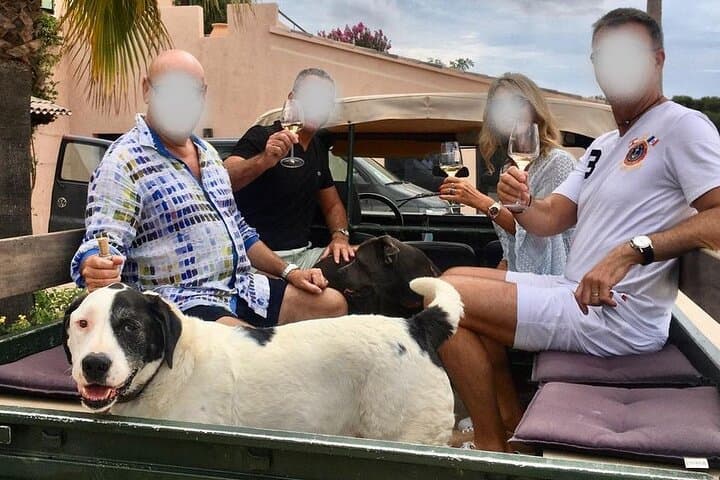 4x4 tour in a winery followed by a tasting