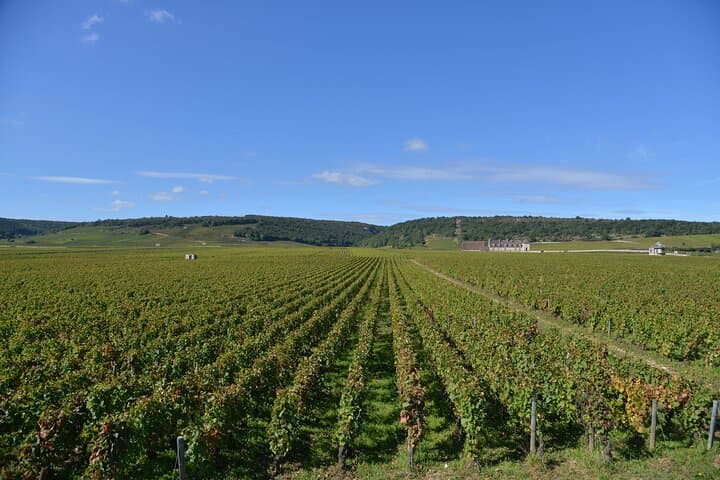 Private Full Day Tour Burgundy Gourmet