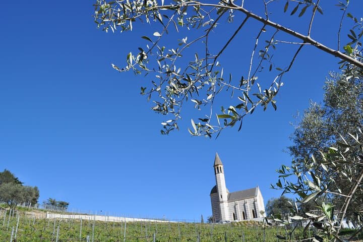 Château de Bellet