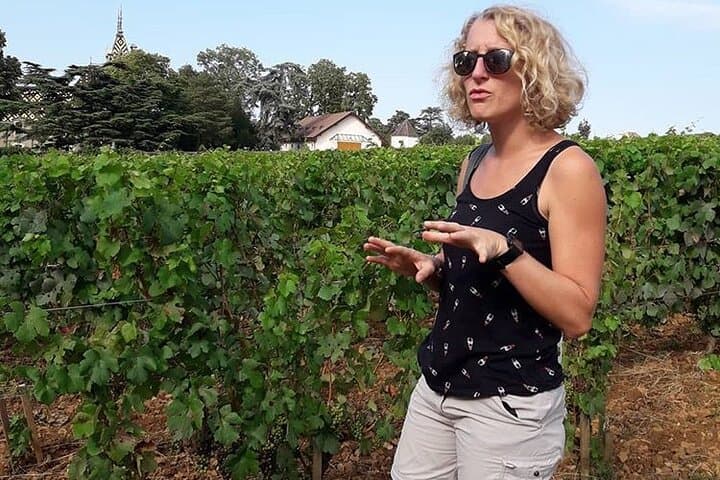 Let’s go together for a walk through the vineyards of Vosne-Romanée.