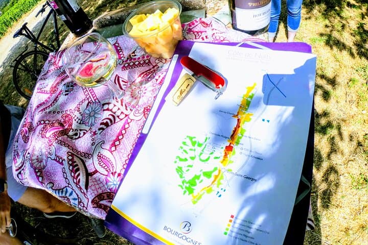 Discovery by bike & Tasting in the vineyards