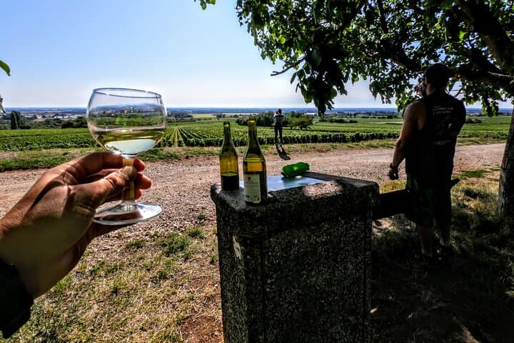 Discovery by bike & Tasting in the vineyards