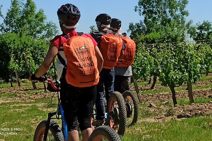 3h hike in Monbazillac