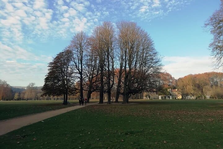 Tete d'Or Esplanade
