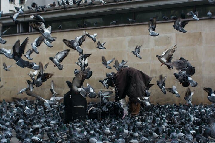 Paris Hidden Gems PhotoWalk tour
