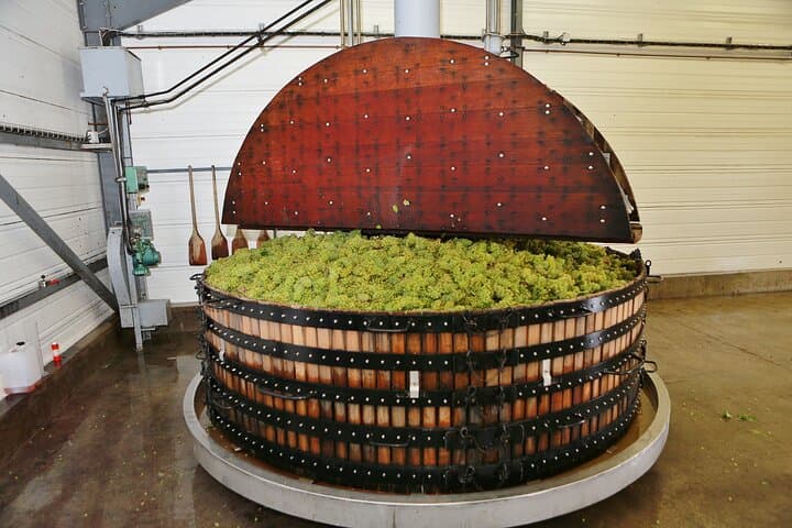 Champagne Guy De Chassey : Premium Tour and Tasting