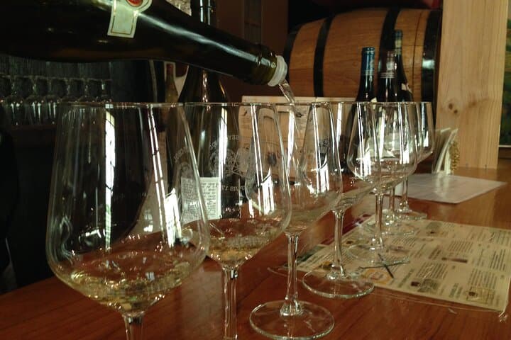 Half-Day Cotes du Rhone Private Wine Tour from Lyon