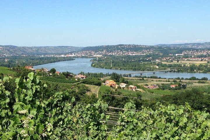 Half-Day Cotes du Rhone Private Wine Tour from Lyon