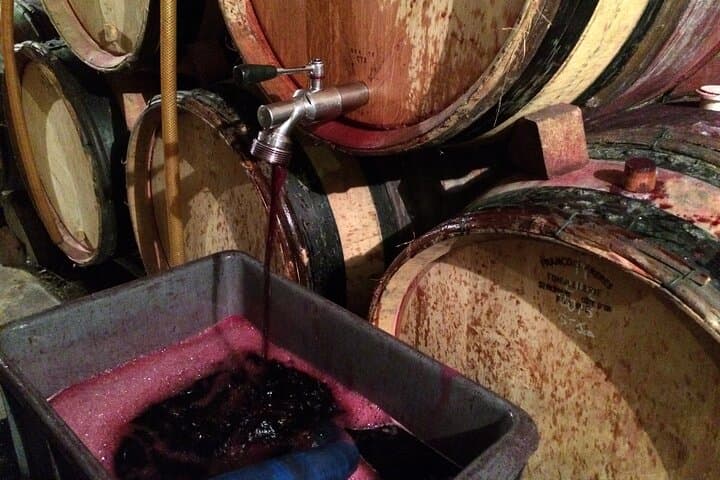 Half-Day Cotes du Rhone Private Wine Tour from Lyon