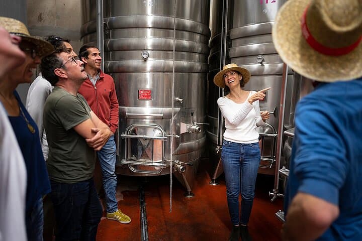 visit of the cellar