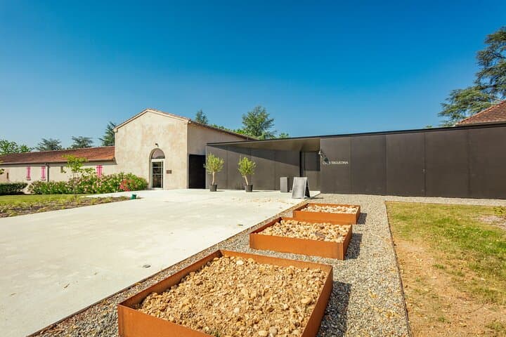 Classic visit and tasting of 3 wines
