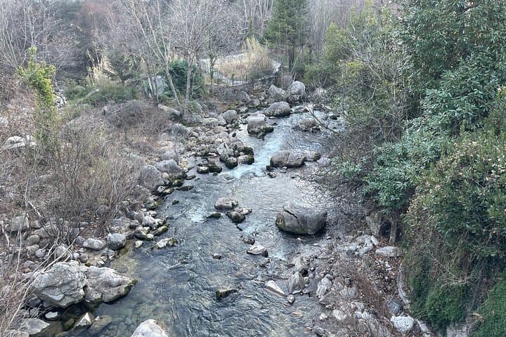 Half-Day Private Tour of Grasse and its Surroundings