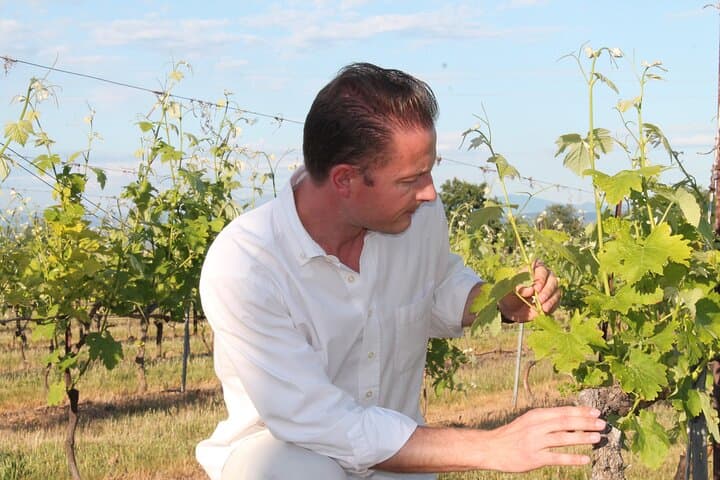 A wine expert guide explain all about the wine making process