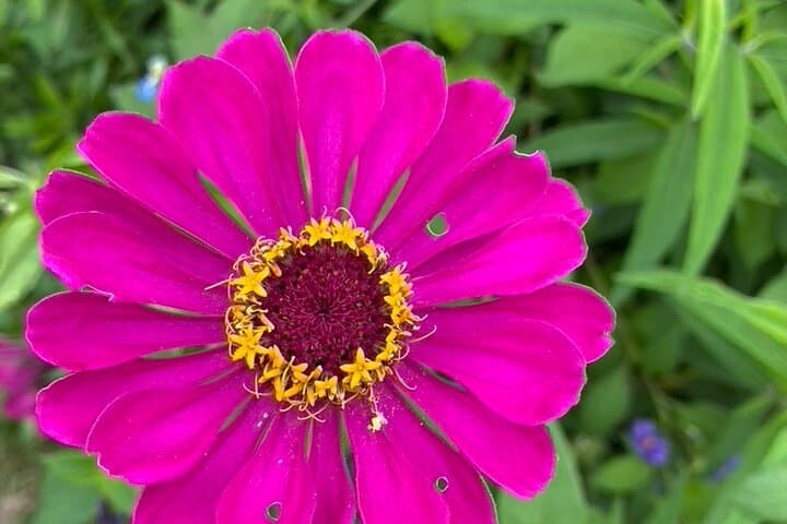 Private Giverny Roundtrip and Entrance Ticket from Paris