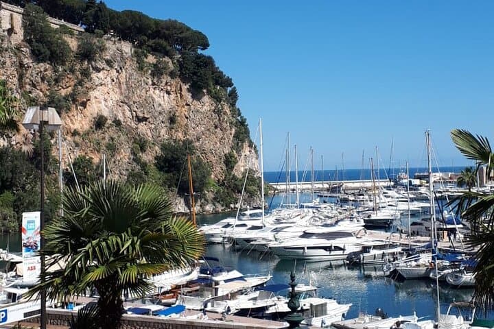 Half-Day Private Guided Tour of the French Riviera