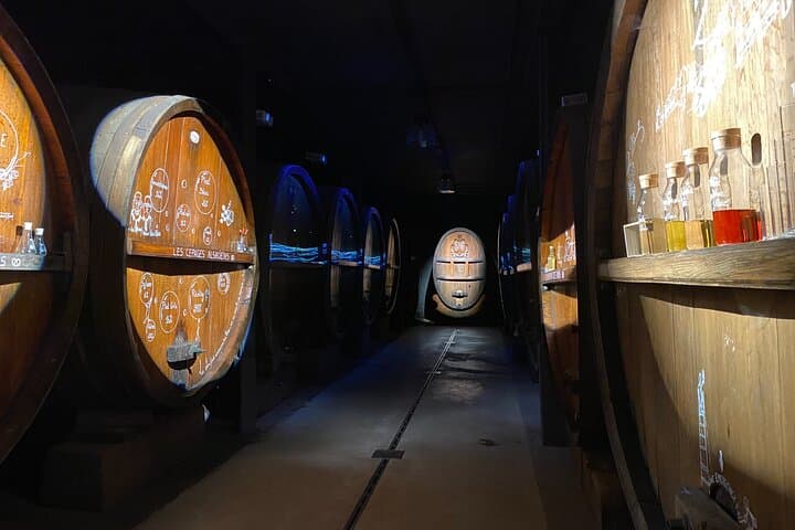Wine tasting and shake the wine