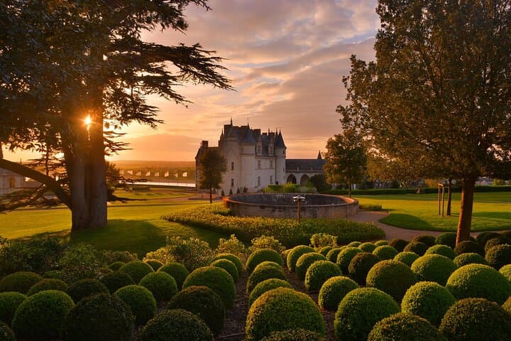 Unforgettable Loire Valley tour from Paris 2 castles in one day!