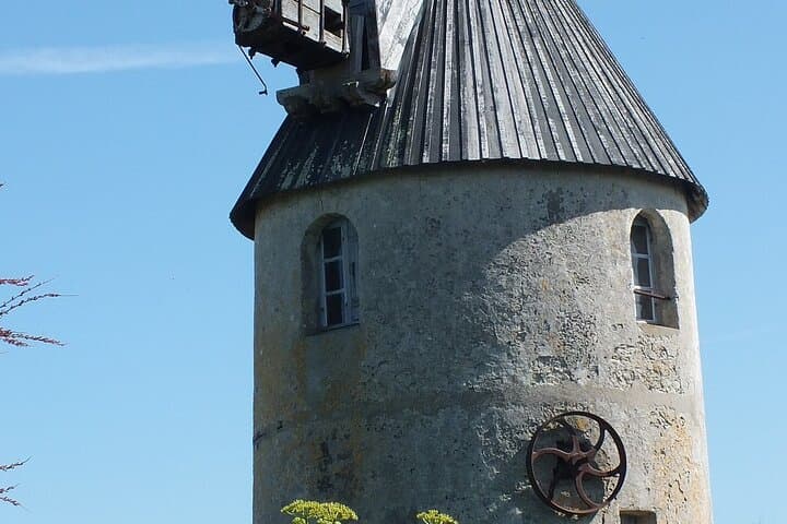 Nature walk to discover Noirmoutier and its charms