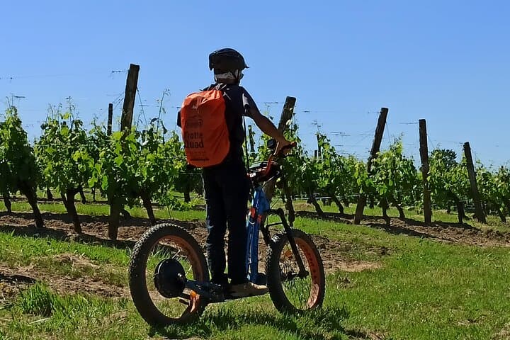 In the vineyards of Monbazillac