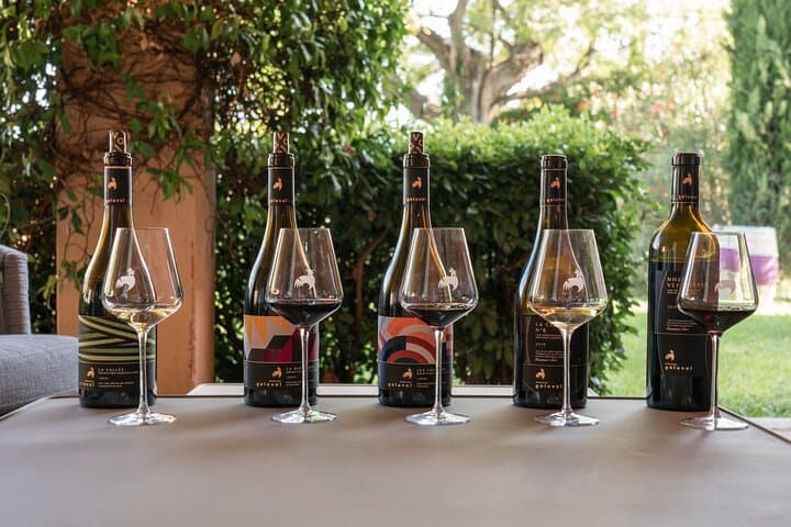 DISCOVERY - Visit to the estate and taste its wines