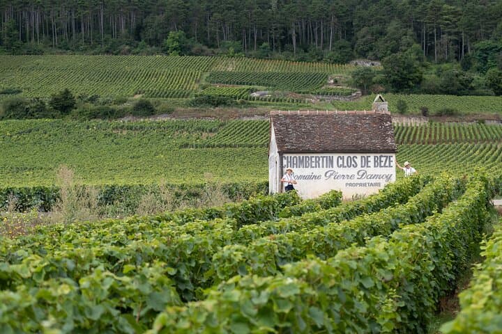 Citroën 2CV Bourgogne rental • Self-guided getaway