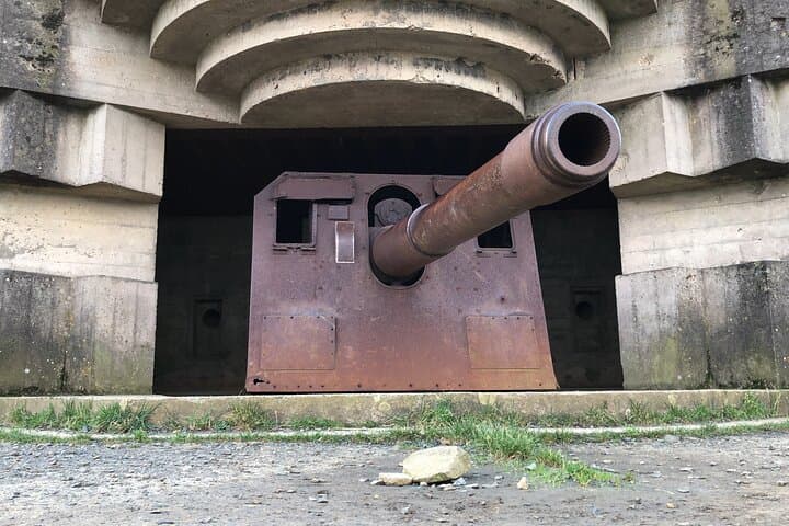 Half-day tour of Omaha Sector with a professional guide