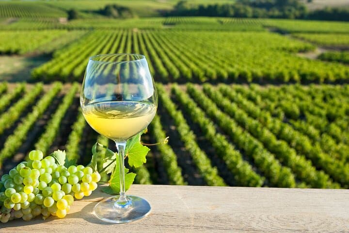 Loire white wine