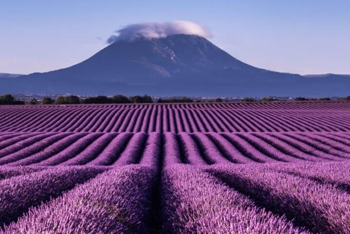 Visit the Gorges du Verdon, the lavenders (in June) and Moustiers.