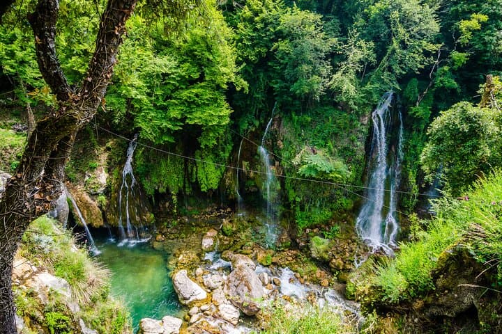 Discover Our Fields and Lake Full-Day Shared Tour from Nice
