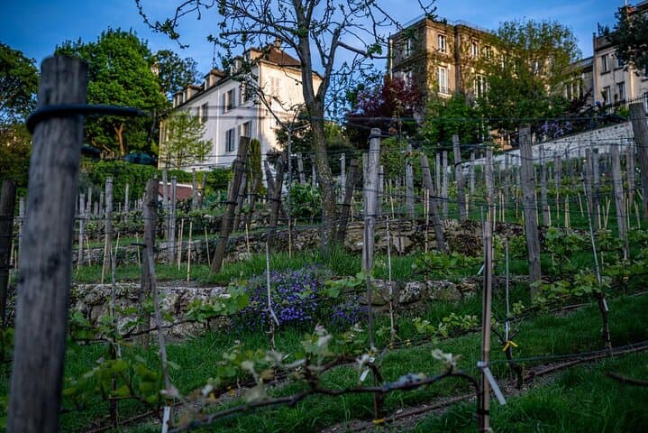 Private Vintage Car Tour with "Montmartre" area in Paris and Pick up drop