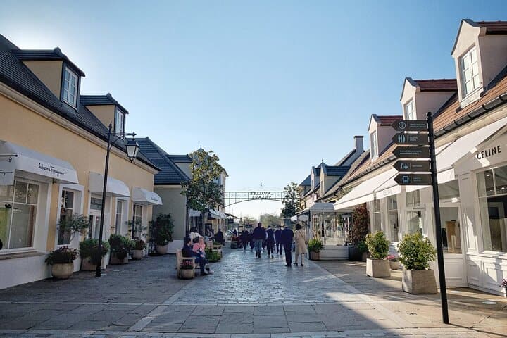 6 Hours Wine Tasting and Shopping Tour in France
