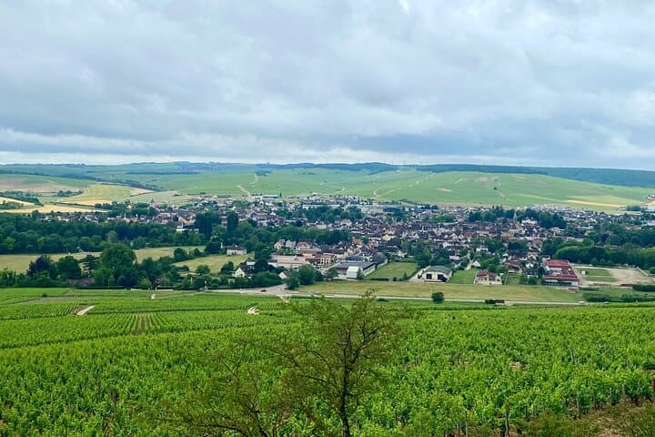 Chablis Wine Tastings Delights by Maison Regnard & J.M. Brocard