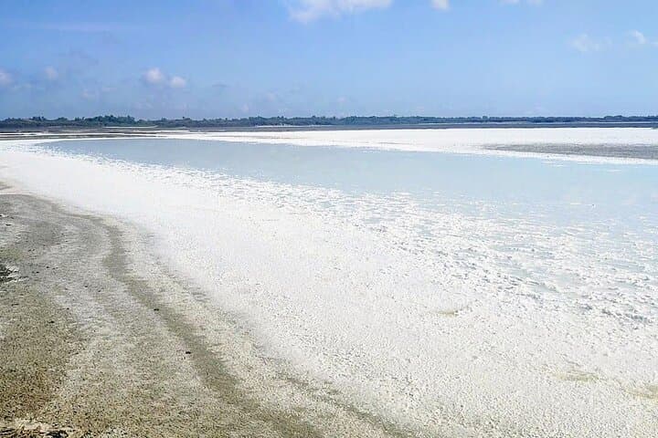 salt pond