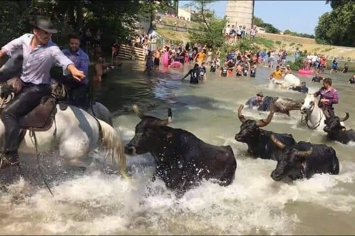 Votive festival bull crossing
