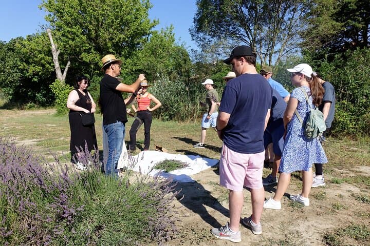 Picking and distillation workshops
