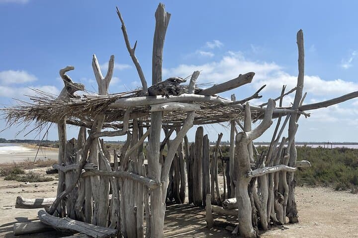 Driftwood cabin