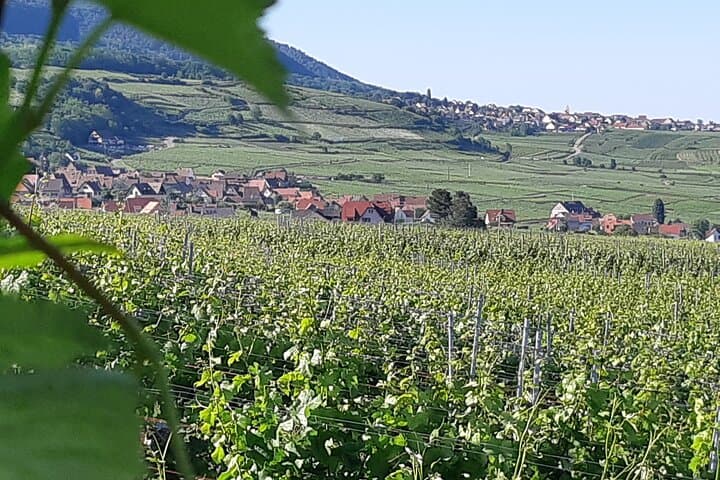Safari-Tour Villages and vineyard, 1/2 day afternoon