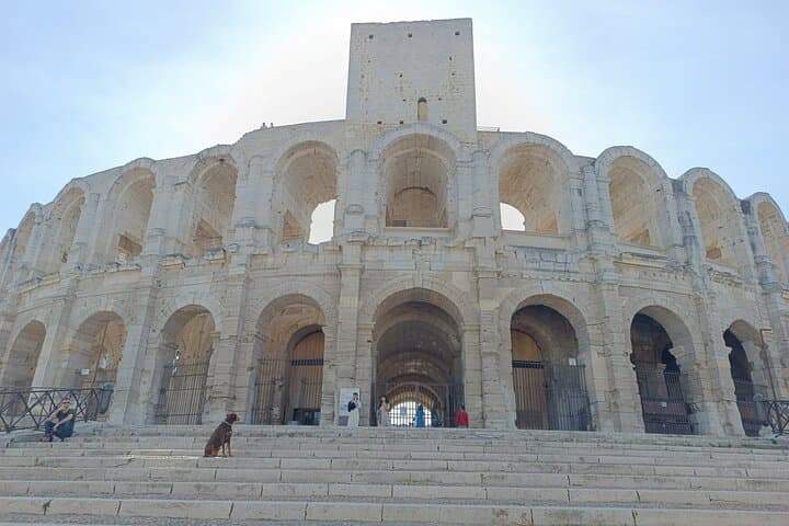 Private Tour in Roman town of Arles, Camargue National Park