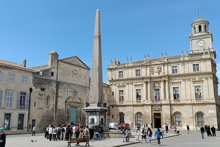 Private Tour in Roman town of Arles, Camargue National Park