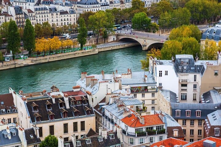 VIP Paris in a Day Tour with River Cruise Small Group or Private