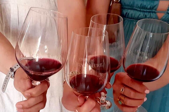 Wine, Olive Oil and Scenic Villages of Provence