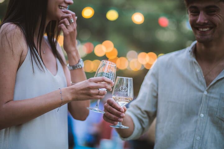 Wine and Charcuterie Cheese Tasting Tour in Boisset
