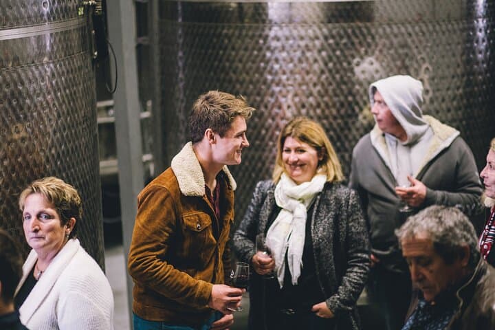 Wine and Charcuterie Cheese Tasting Tour in Boisset